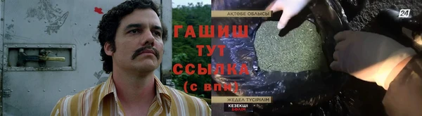 твердый Осинники