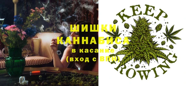 ПСИЛОЦИБИНОВЫЕ ГРИБЫ Осташков