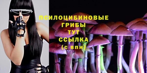 apvp Абинск